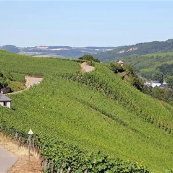 camping-route-du-vin-grevenmacher-vtt7q
