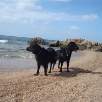 camping-baia-blu-la-tortuga-aglientu-klyut