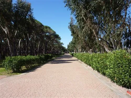 camping-baia-blu-la-tortuga-aglientu-minhj