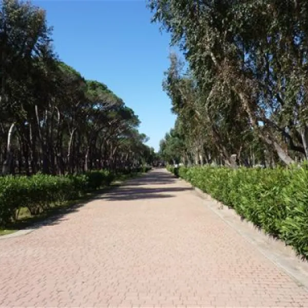 camping-baia-blu-la-tortuga-aglientu-minhj