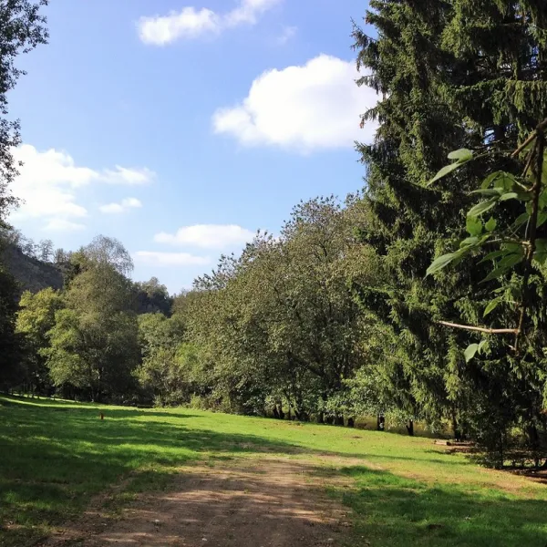 les-cabanes-de-rensiwez-houffalize-032oi