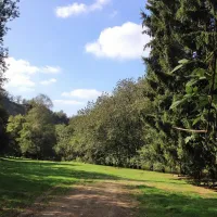 les-cabanes-de-rensiwez-houffalize-032oi