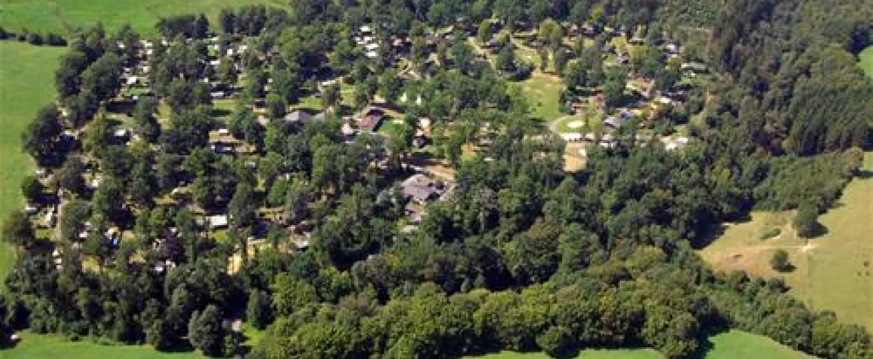 Camping im Eichenwald