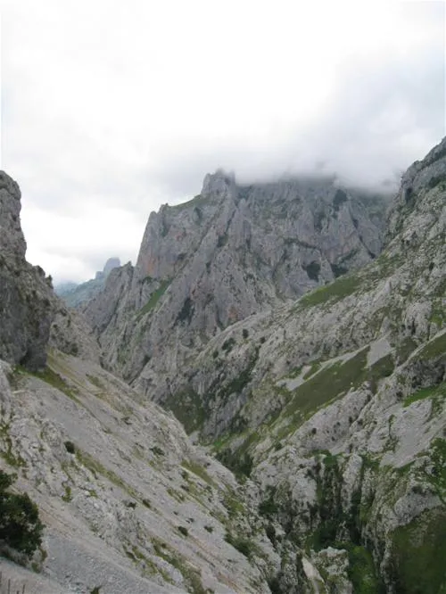camping-naranjo-de-bulnes-cabrales-6ze0l