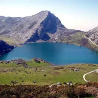 camping-naranjo-de-bulnes-cabrales-olhrz