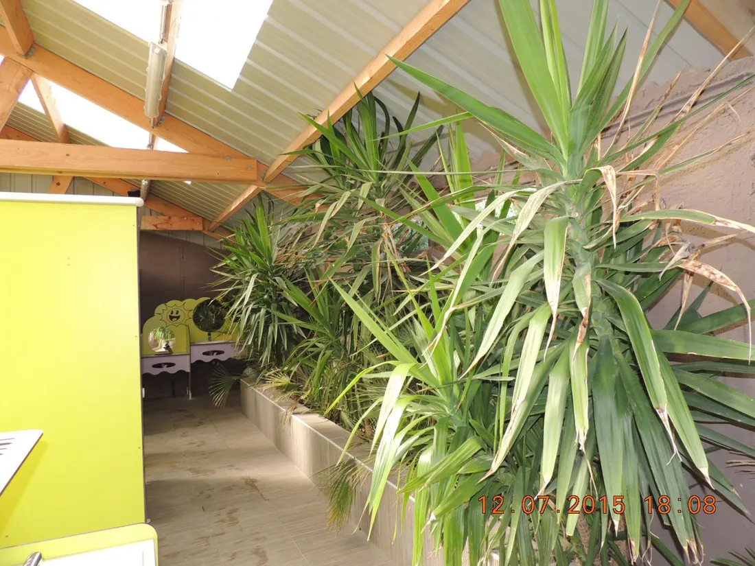 camping-le-paradou-marseillan-fzwnq