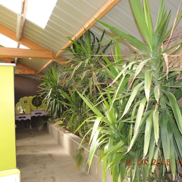 camping-le-paradou-marseillan-fzwnq