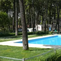 parque-de-campismo-orbitur-viana-do-castelo-viana-do-castelo-2rdye
