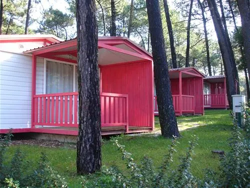 parque-de-campismo-orbitur-viana-do-castelo-viana-do-castelo-m5bgp