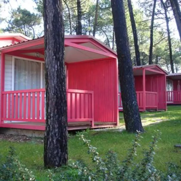parque-de-campismo-orbitur-viana-do-castelo-viana-do-castelo-m5bgp