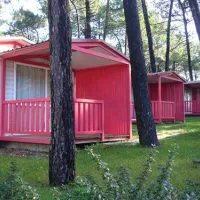 parque-de-campismo-orbitur-viana-do-castelo-viana-do-castelo-m5bgp