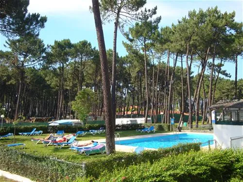 parque-de-campismo-orbitur-viana-do-castelo-viana-do-castelo-xsujk