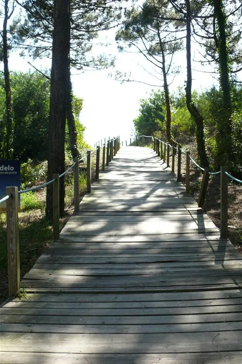 parque-de-campismo-orbitur-viana-do-castelo-viana-do-castelo-y2wci