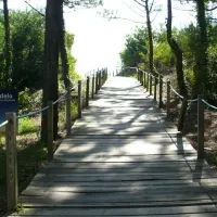 Parque de Campismo Orbitur Viana do Castelo