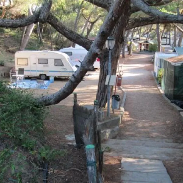 belmare-camping-srl-marina-di-castagneto-8ymko