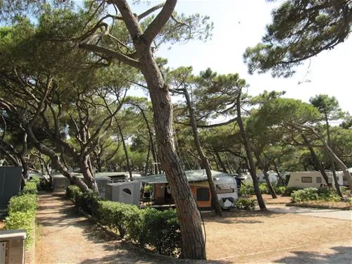 belmare-camping-srl-marina-di-castagneto-9sdbd