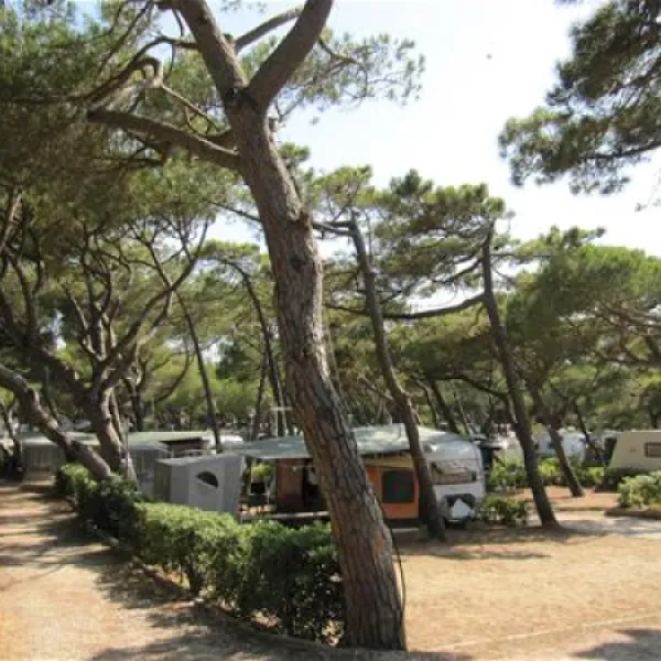 belmare-camping-srl-marina-di-castagneto-9sdbd