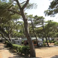 belmare-camping-srl-marina-di-castagneto-9sdbd