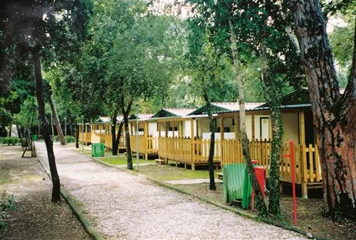 belmare-camping-srl-marina-di-castagneto-gwf0g