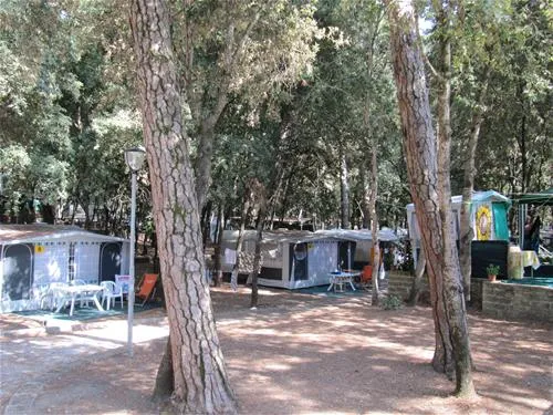 belmare-camping-srl-marina-di-castagneto-klctn