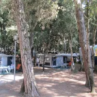 belmare-camping-srl-marina-di-castagneto-klctn