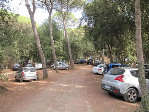 belmare-camping-srl-marina-di-castagneto-mfzcr