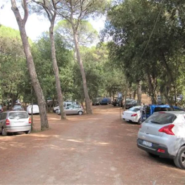 belmare-camping-srl-marina-di-castagneto-mfzcr