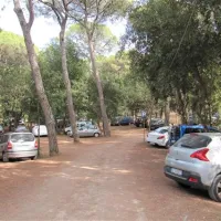 belmare-camping-srl-marina-di-castagneto-mfzcr