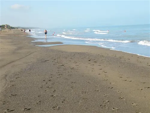 belmare-camping-srl-marina-di-castagneto-r0m3j