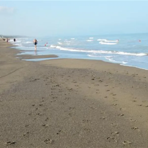 belmare-camping-srl-marina-di-castagneto-r0m3j