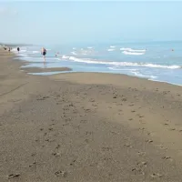 belmare-camping-srl-marina-di-castagneto-r0m3j