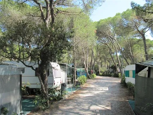 belmare-camping-srl-marina-di-castagneto-vtng2