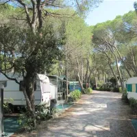 belmare-camping-srl-marina-di-castagneto-vtng2