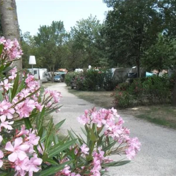 camping-les-pins-argels-sur-mer-lhl0g