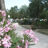 camping-les-pins-argels-sur-mer-lhl0g