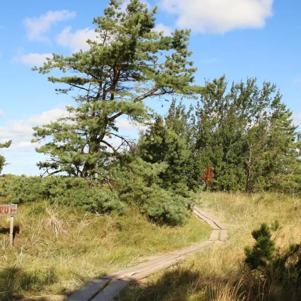 camping-kaleji-ziemupe-hwflt
