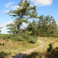 camping-kaleji-ziemupe-hwflt