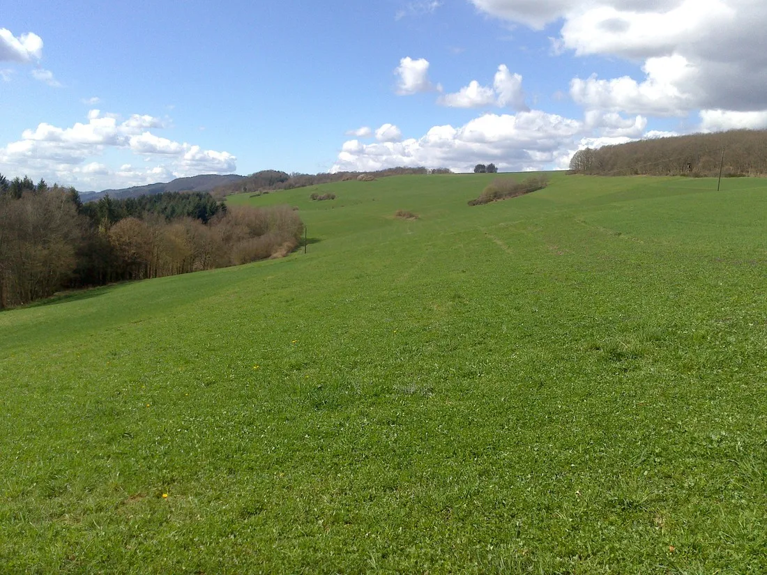 harfenmuhle-asbacherhutte-e1dme