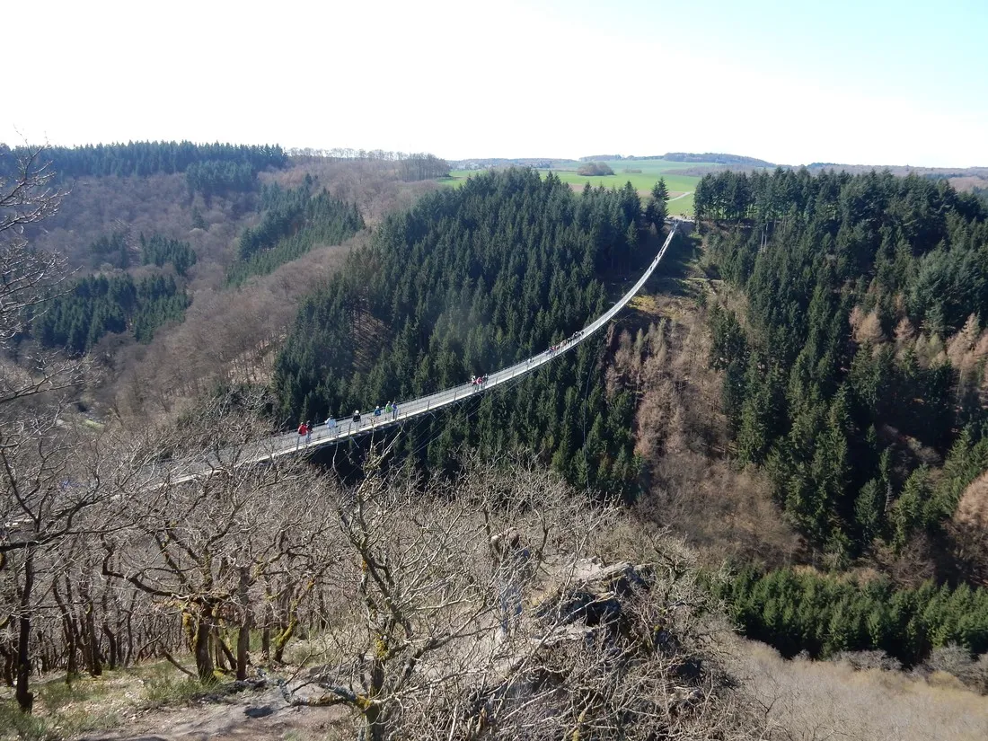harfenmuhle-asbacherhutte-efnrm