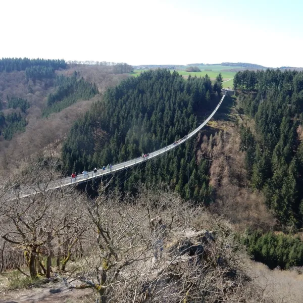 harfenmuhle-asbacherhutte-efnrm