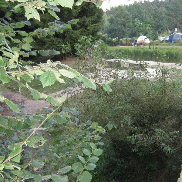 harfenmuhle-asbacherhutte-rohmx
