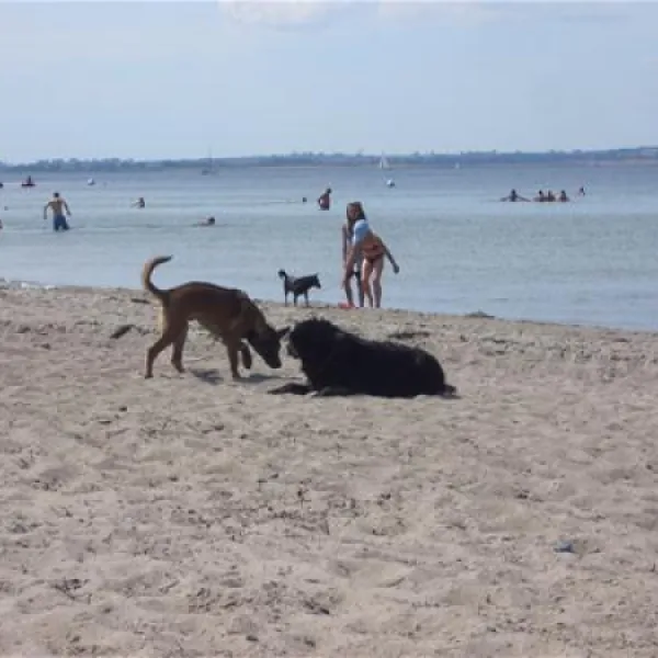 camping-strukkamphuk-fehmarn-5ael4