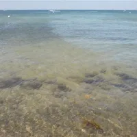 camping-strukkamphuk-fehmarn-jkrah