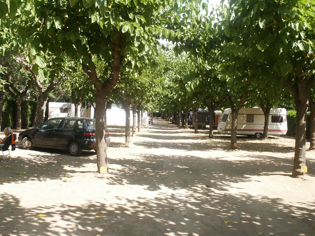 camping-el-camell-pineda-de-mar-9usiz
