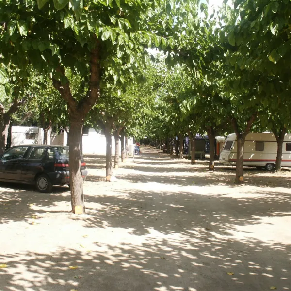 camping-el-camell-pineda-de-mar-9usiz