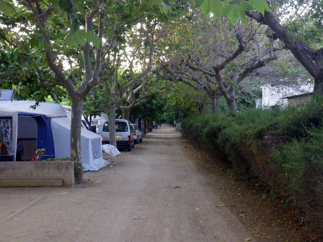 camping-el-camell-pineda-de-mar-ie3sm