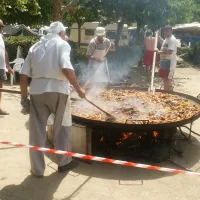 camping-el-camell-pineda-de-mar-klyha