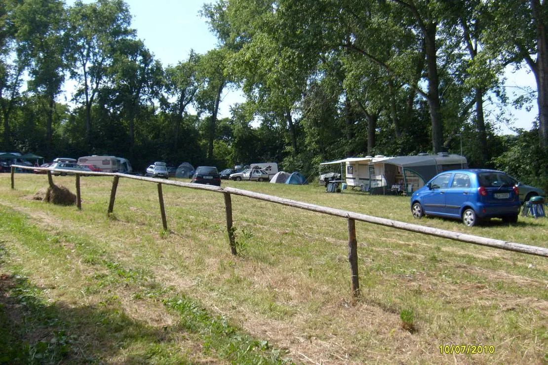 camp-mseno-mseno-7qizl