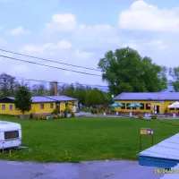 camp-mseno-mseno-yy6hz