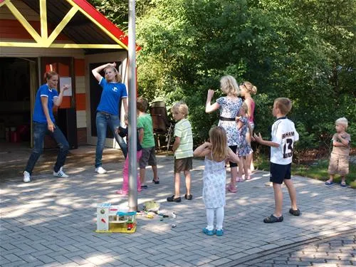 camping-de-papillon-denekamp-movp0